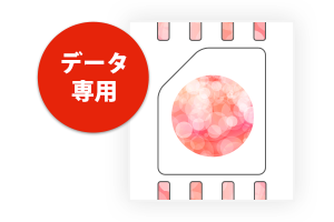 データ専用ジャパンSIMカード
