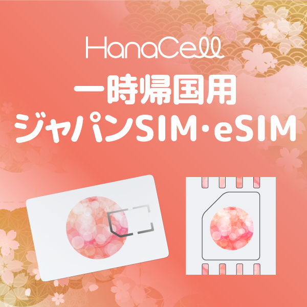 日本一時帰国SIMの商品画像