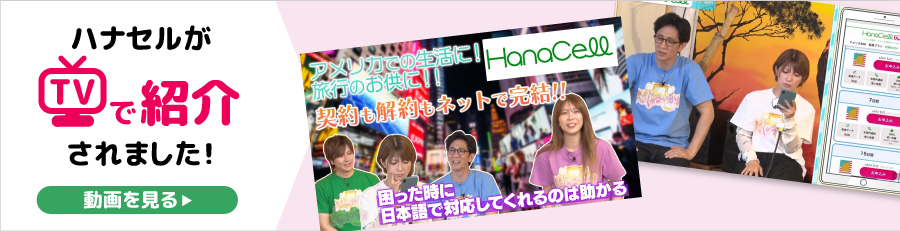 ハナセルがテレビで紹介されました