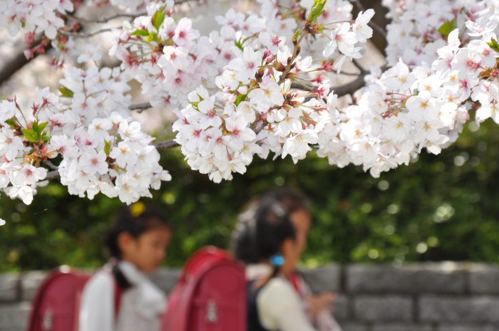 小学校の体験入学