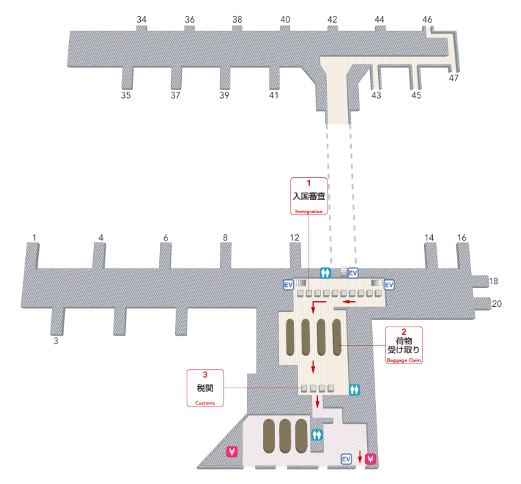 JAL | ニューヨーク ジョン・F・ケネディ国際空港/出入国手続き（空港情報）