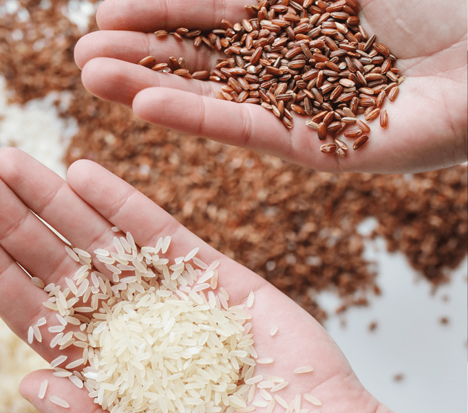 アメリカの様々な種類のお米