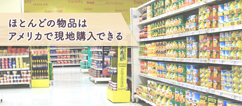 安心の日本製 会員限定品 アメリカ在住者しか買えない 保冷バッグ 在庫有 Nordkyn Com
