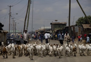 slum-nairobi-kenya